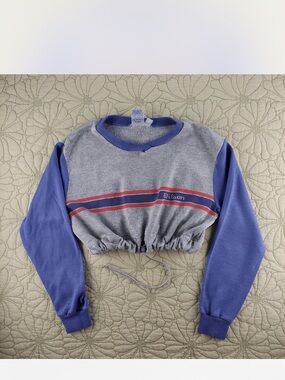 Wilson Gray Cropped Sweatshirt with Periwinkle Sleeves
